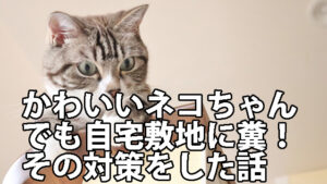 ネコの糞被害対策の話