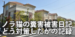 ノラ猫の憤慨被害日記